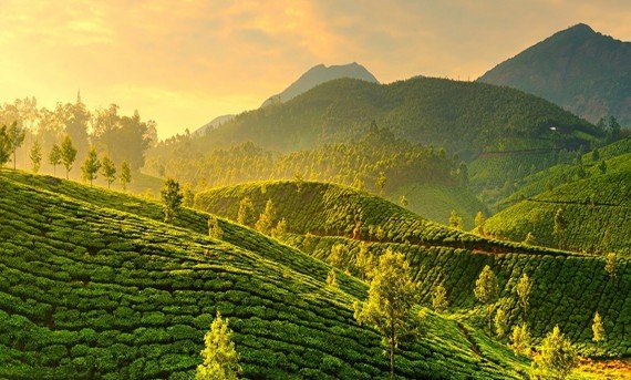 famous-tourist-attractions-in-kerala (1)